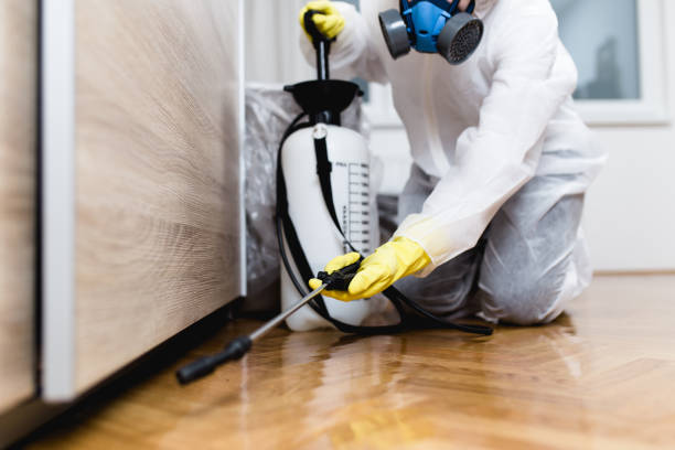 Best Best Pest Control Companies  in South Wallins, KY