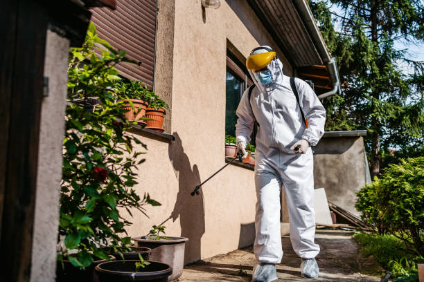 Best Local Pest Control Services  in South Wallins, KY