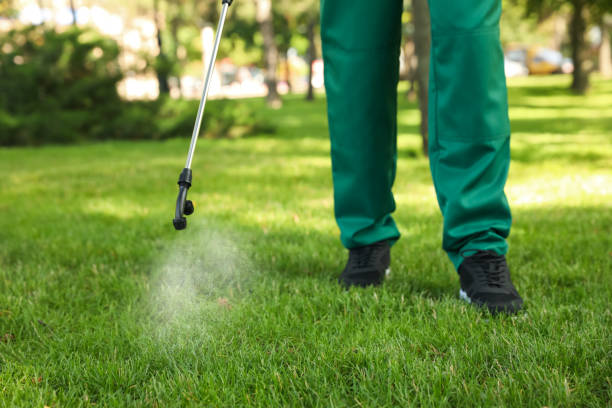 Best Residential Pest Control  in South Wallins, KY