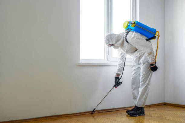 Best Commercial Pest Control Services  in South Wallins, KY