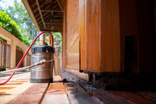 Best Pest Control Treatment  in South Wallins, KY
