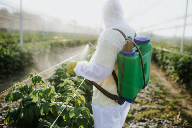Best Pest Prevention Services  in South Wallins, KY